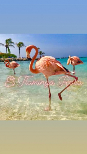 El Flamingo Rosa Cod IUN P5386 Iglesias